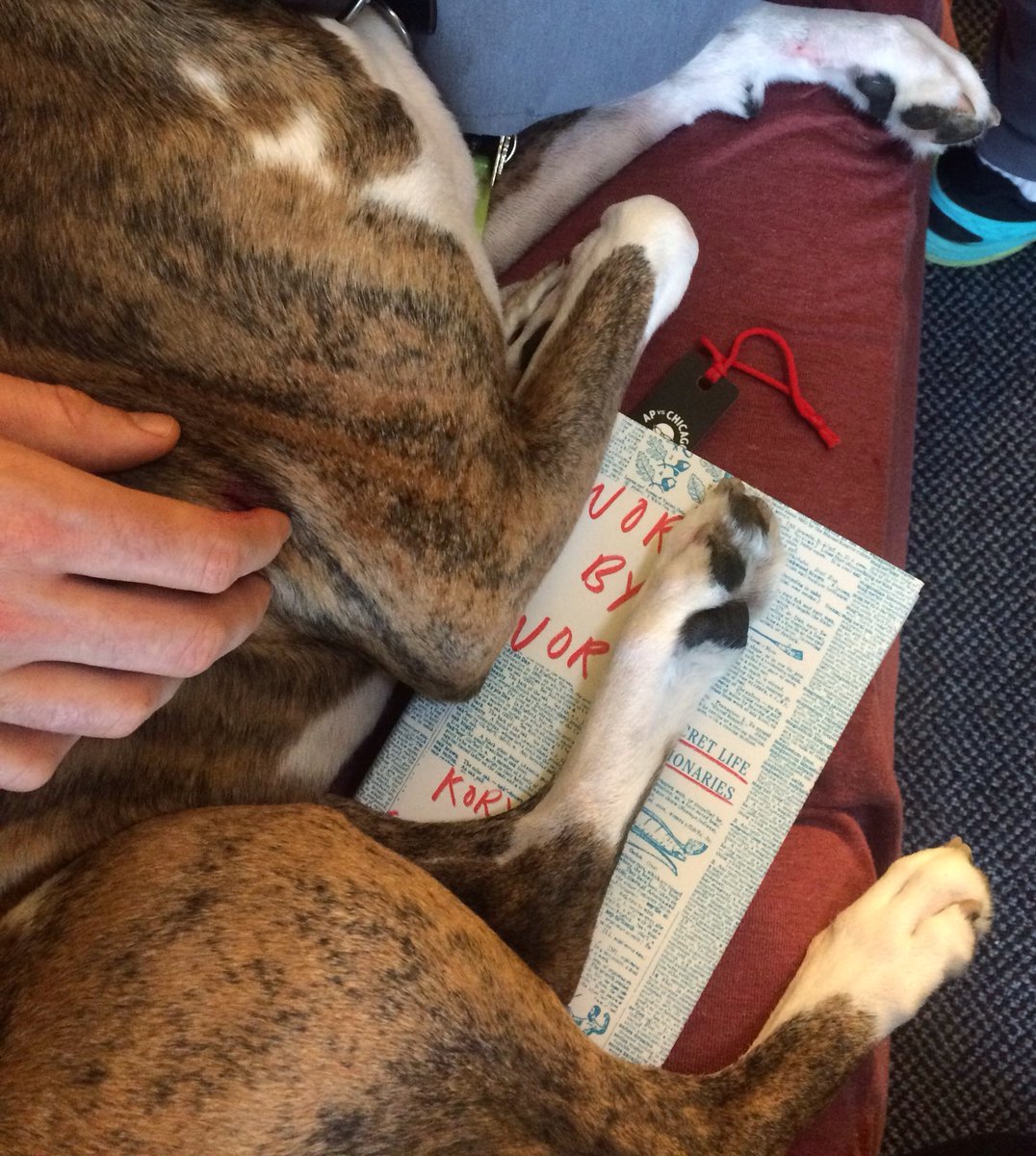 Dog laying on book “Word by Word.”