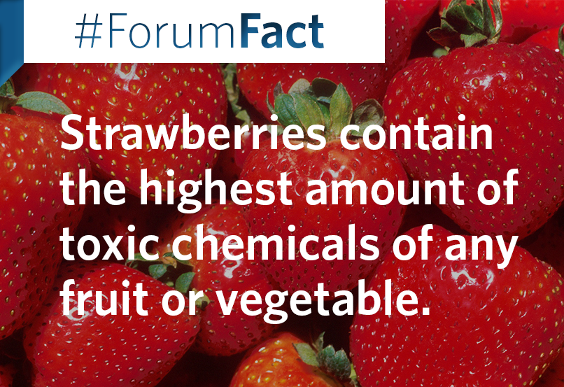 GBHForumNetwork's tweet photo. #ForumFact: Consider this the next time you go food shopping. Learn more with Julie Guthman discussing how big #agriculture in the U.S. affects the quality of your favorite fruits: https://t.co/MzmPHBBpFf https://t.co/Fnnc4ZEEtH