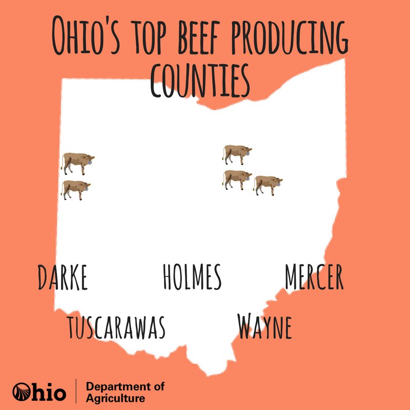 ohioagriculture's tweet image. 97% of beef operations are family owned, with more than 284,000 beef cows in the Buckeye State. Beef cattle can be found in every single county in Ohio. #AgFact #OhioAgWeek
