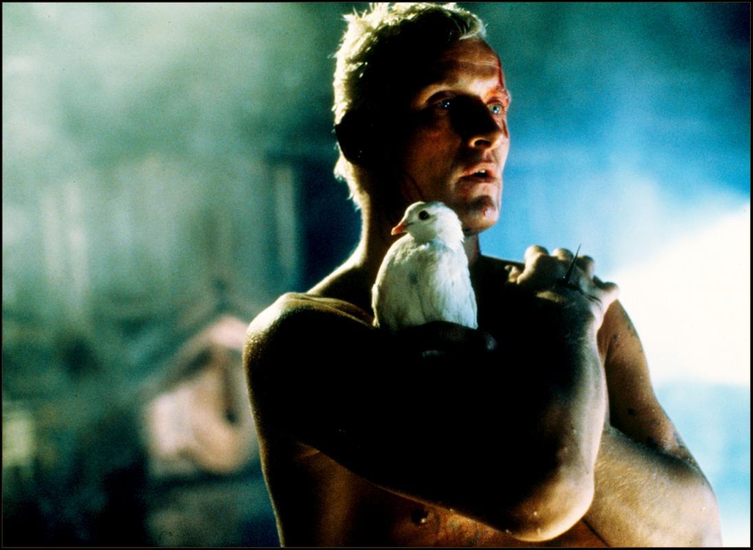 http://www.denofgeek.com/us/movies/rutger-hauer/18770/the-top-25-rutger-hauer-movies