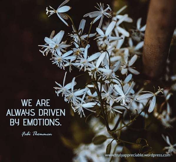 Emotions are the language of your heart and your soul!!
#emotions #soul #feelings 
#emotionsareagift #heart 
#lifeisgood #feelyouremotions 
#bussineslady #businessworld 
#bussinesswomen #bosslady 
#blessed #emotionspeaks 
#entrepreneur #enterpenureship #… ift.tt/2pertjZ