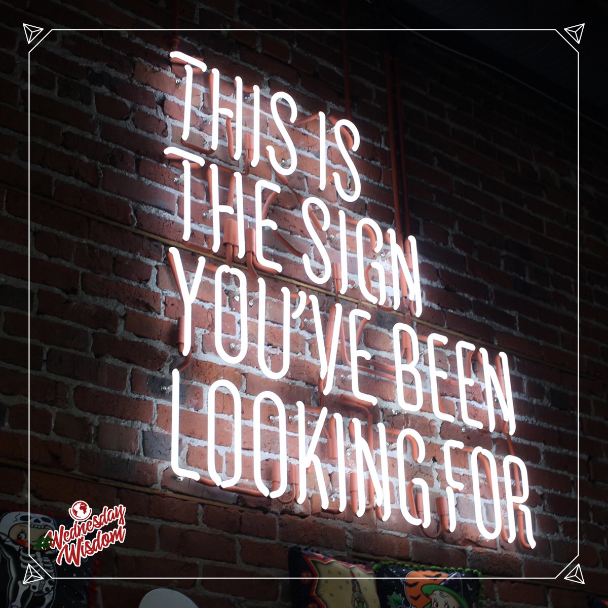 #WednesdayWisdom🧠
Shoot your shot.
