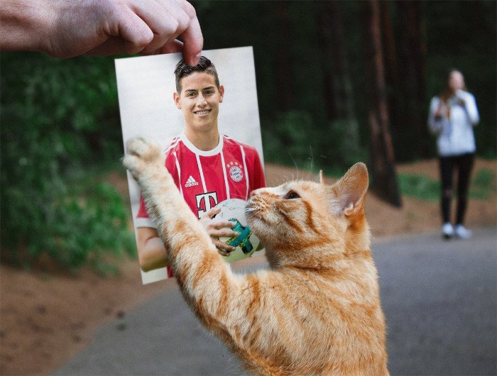Irgendwie war das klar... 😉 #BJKFCB