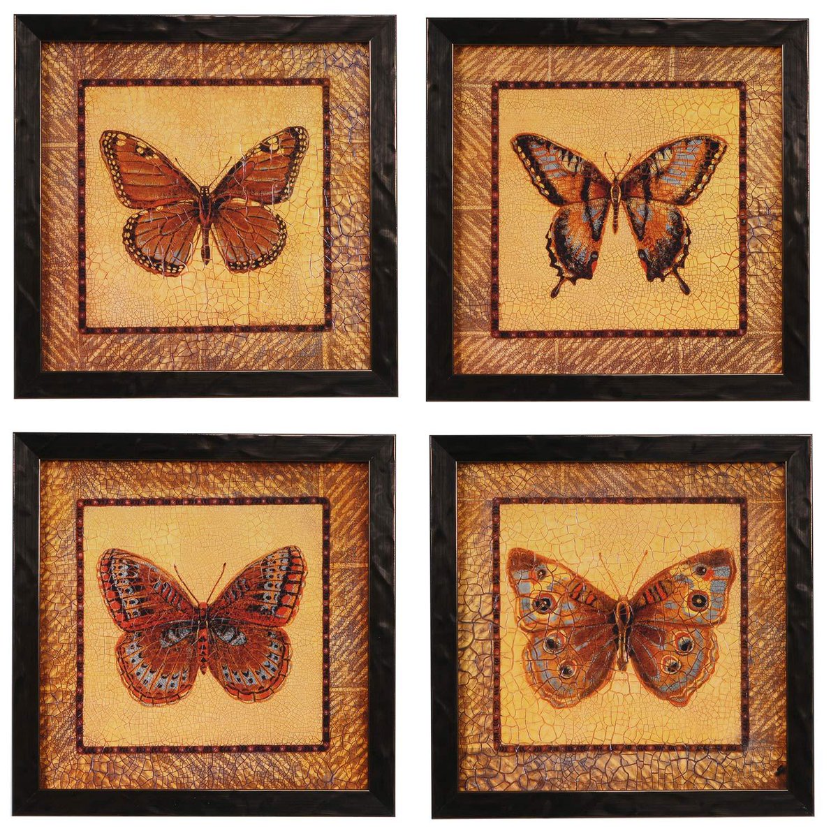 HomeGallery's tweet image. Today is National Learn About Butterflies Day! Check out our Pinterest board for some of our favorite butterfly-themed home decor pieces bit.ly/2moRsBO #NationalLearnAboutButterfliesDay