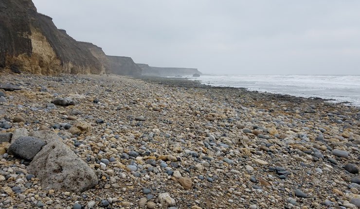 beach_lust's tweet photo. Sea Glass Treasure Hunting At Ryhope Beach (Near Seaham)

Read more: https://t.co/2zq7v9HSVS

#seaglass #beachcombing #durham #northeast https://t.co/bKpaAM8AXJ