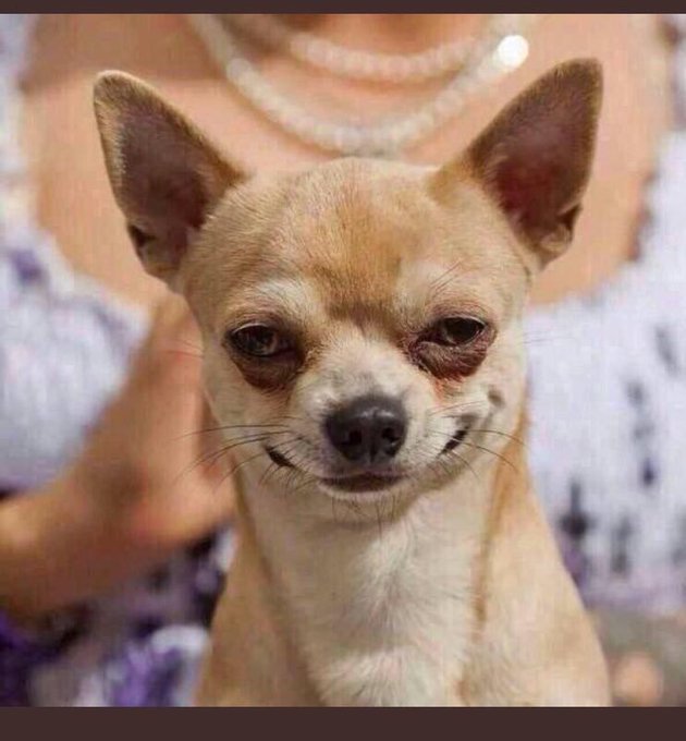 View image on Twitter