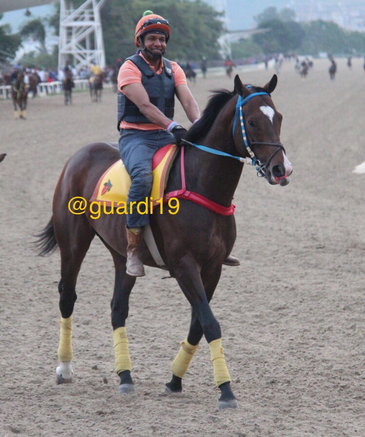 guardi19's tweet photo. #Hipismo SUPREMO!!! Excelente reaparecida luego de un merecido descanso. Otro de los grandes candidatos en Clásico José María Vargas 2018. https://t.co/A2XWg46CB7