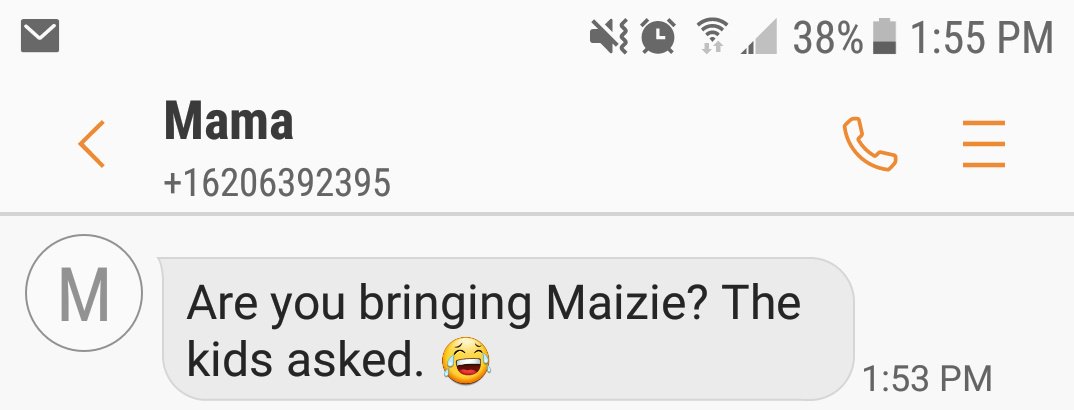 BriSchartz's tweet photo. My niece and nephew are always WAY more excited to see my dog than me. I've never not brought Maizie home with me but they're always so concerned that I won't 😂🐕 https://t.co/5JuQdeh2ub