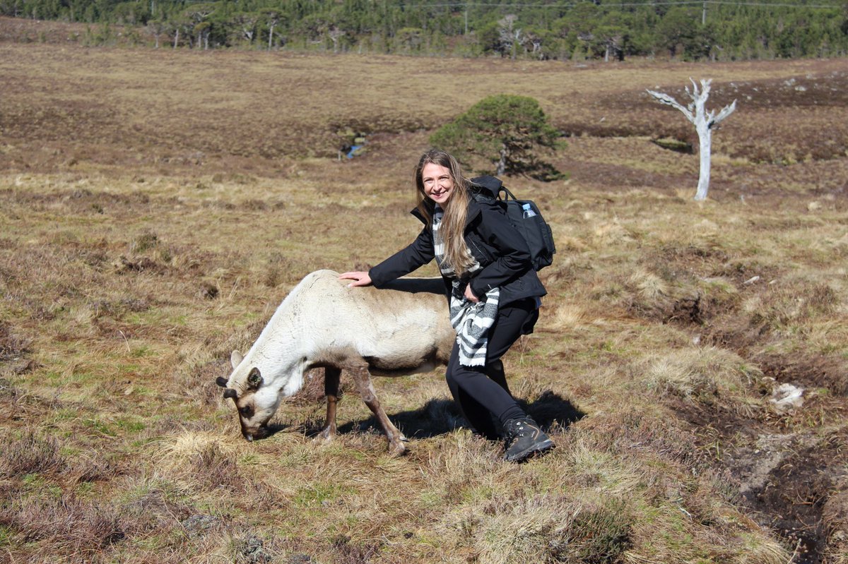 fibiii91's tweet photo. I love with reindeer 😍 @VisitScotland @cairngormsnews @VisitCairngrms #scotland #Cairngorms #reindeer https://t.co/6gdL4t9WC4