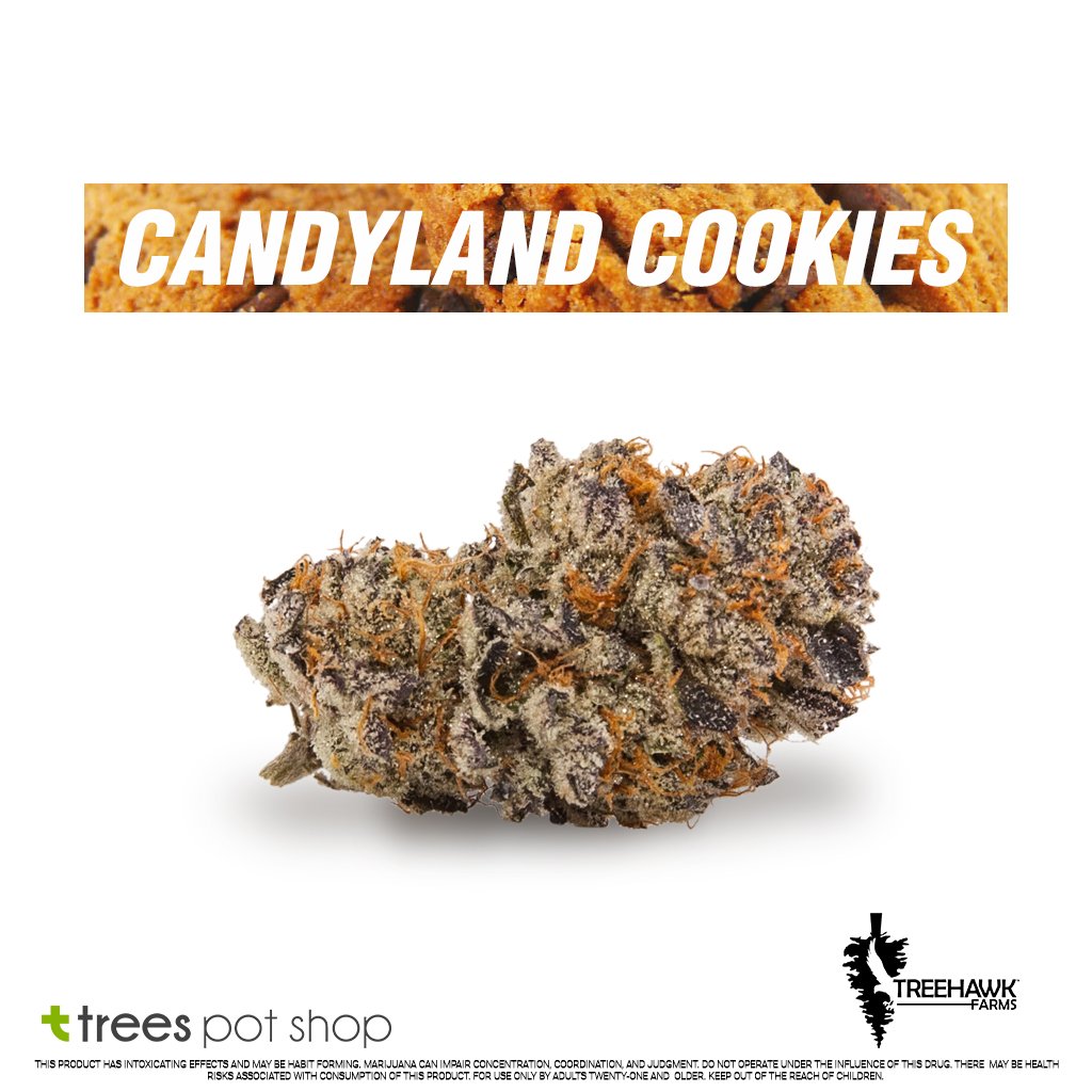 TreesPotShopNW's tweet image. Check out Candyland Cookies by @TreeHawkFarms.  This stellar Sativa domiant Hybrid has a sweet earthy smell &amp;amp; taste.  Combined with its creative and uplifting high, this strain is the perfect daytime high.
#TreeHawkFarms #TreeHawk #TreesPotShop #Seattle #Sativa #CandylandCookies