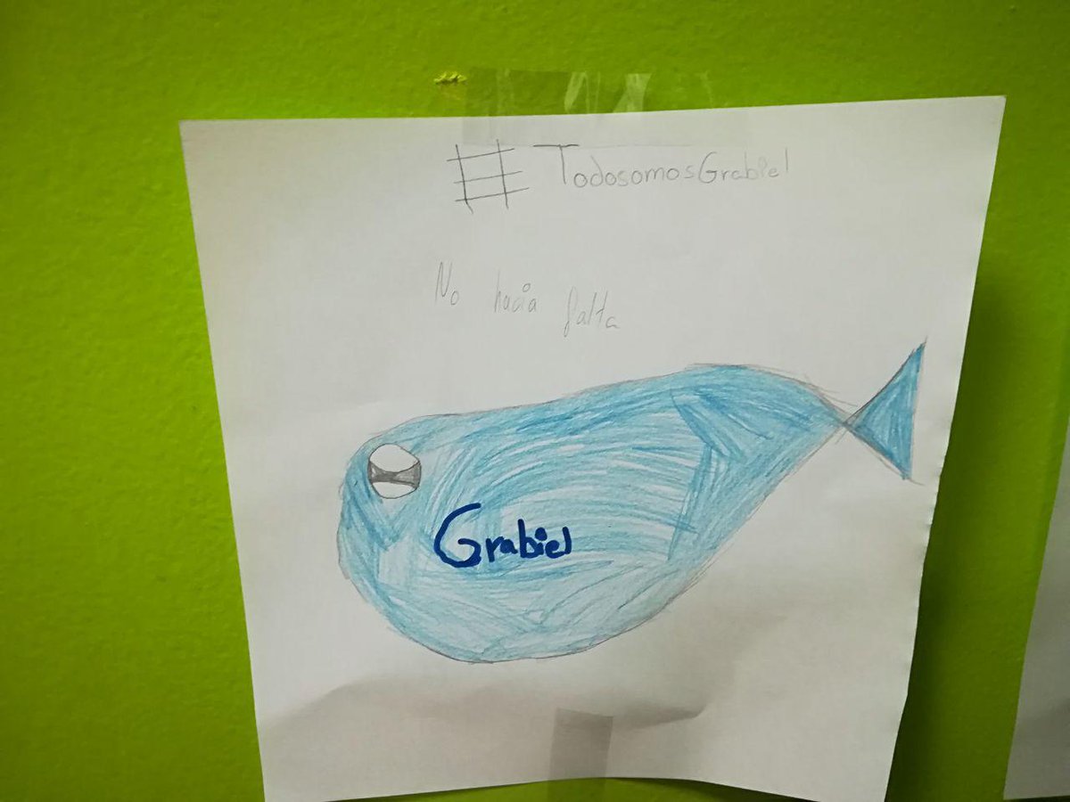 voytur's tweet photo. Nunca dejes de nadar pequeño #pescaito #gabrielcruz #todosdomosGabriel #pececito #ConAmor #todossomosgabriel #todoscongabriel https://t.co/xwAQLpEr5z