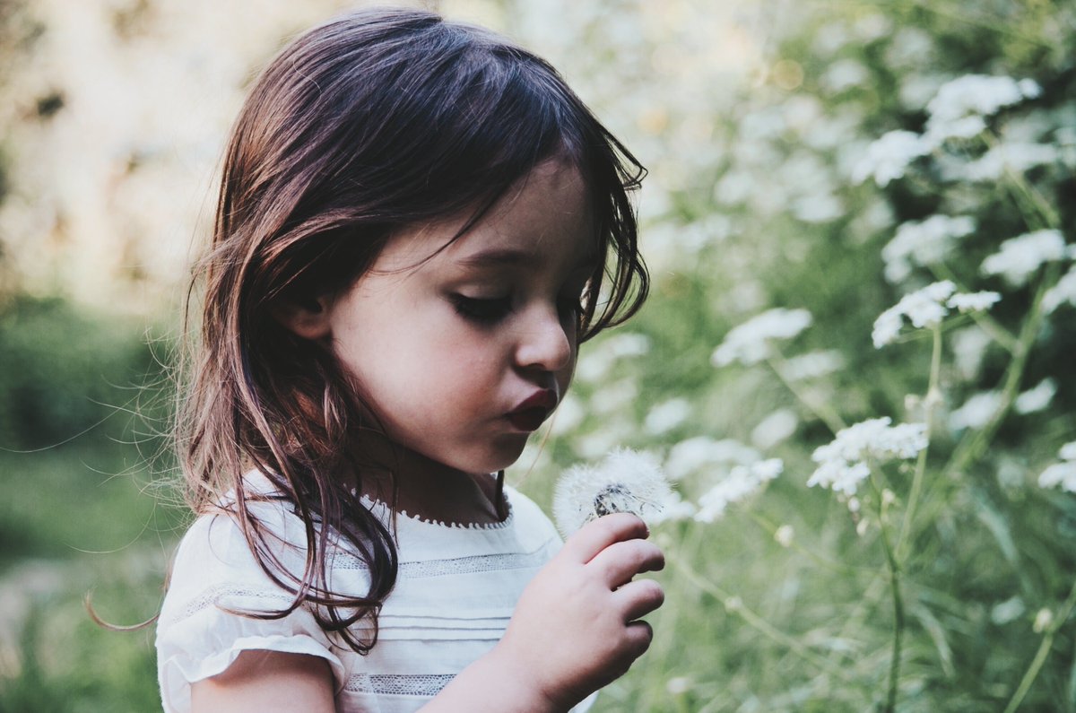 heartofgoldusf's tweet photo. "No act of kindess, no matter how small, is ever wasted." -Aesop #WednesdayWisdom https://t.co/OEmxdHr0ni