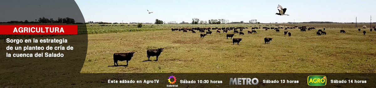 Este Sábado 17 de Marzo en AgroTv
agrotv.com.ar