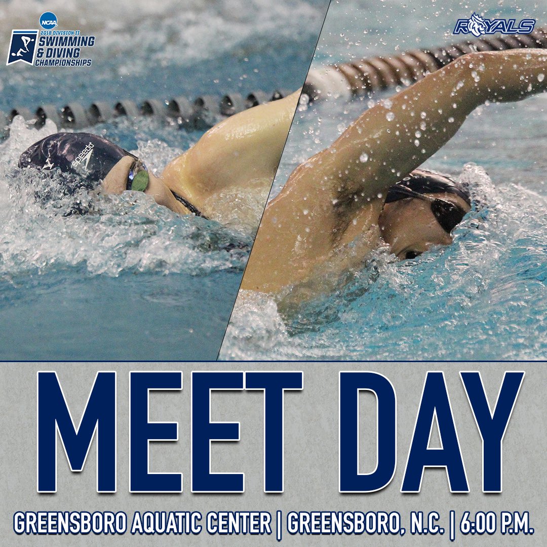 QueensAthletics's tweet photo. .@QueensSwimming has 11 individuals and 2 relay teams advancing to the final session on day one of the @ncaadii Swimming National Championship
👀➡️🏆
#push4ward
#GoRoyals https://t.co/OsJLrdn2M3