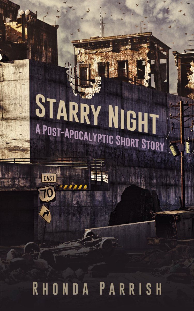 RhondaParrish's tweet image. ICYMI: "Character agency in 'Starry Night'" or "Why my main character has no real agency in 'Starry Night'" LoL bit.ly/2FTjRxG