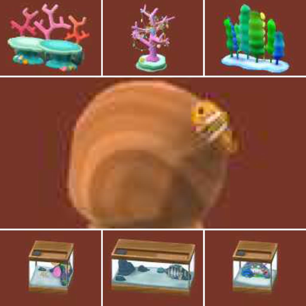 ACH0N3y's tweet photo. ✨🐟🏆✨⭐️RT⭐️IF YOURE READY FOR #FishingTourney #PocketCamp @animalcrossing  #Update #Event (Thank you @dankcrossing ⭐️🦄) https://t.co/opZLKbSeGd