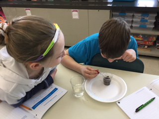 CBGaymanES's tweet image. 4th Grade Students are scientists in action! They followed a drop of water on different surfaces to see what would happen. #CBSDscience @CBabullard #GoGaymanMustangs