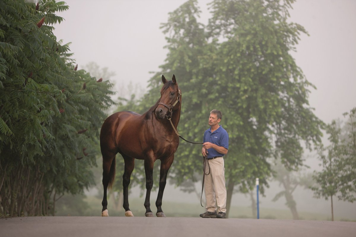 Darley tweet media