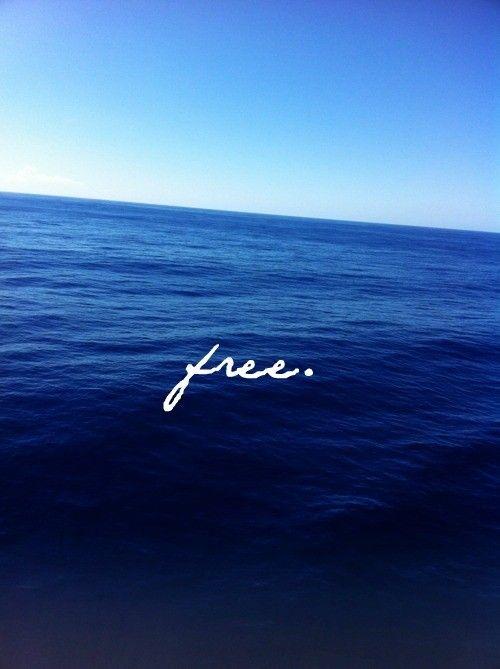 GoodVibOnly tweet picture