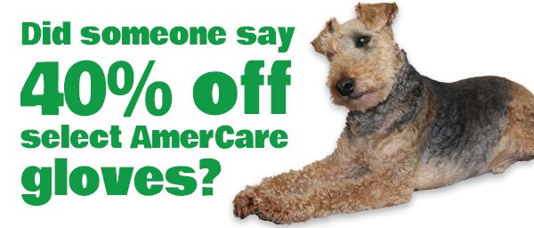 dixiepaper's tweet photo. 40% off AmerCare gloves? Hughie approves. https://t.co/M3InjlPinT] https://t.co/dAS32t0MYV