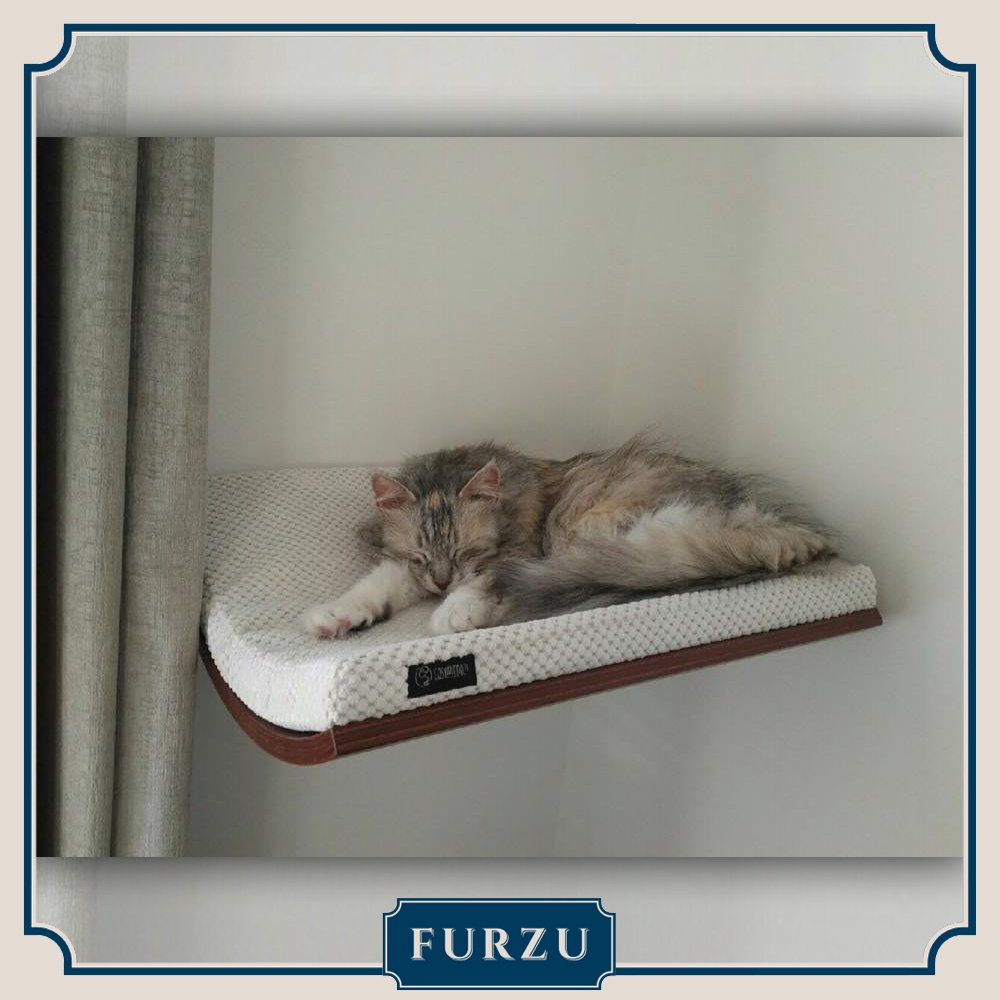 FurzuPets's tweet photo. The Chill Shelf is a unique and very attractive piece of cat furniture, which fits perfectly in any home.
Shop here: https://t.co/l2OcPB2nIU
#catshelves #catoftheday #pet #cat #catspace #FurzuPets #catbed #cats #ukcats #catsofgreatbritain #catsofuk #catliving #londoncats https://t.co/dvE1BmLlTh