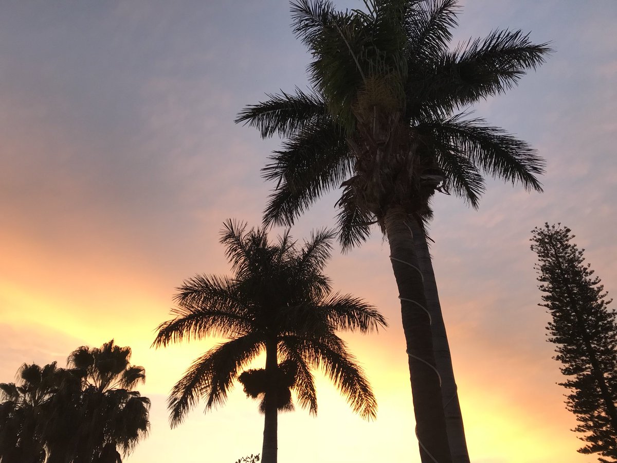 Monytuit22's tweet photo. Los mejores atardeceres 🌅 #ViveLosCabos https://t.co/J0NBxLLNkj