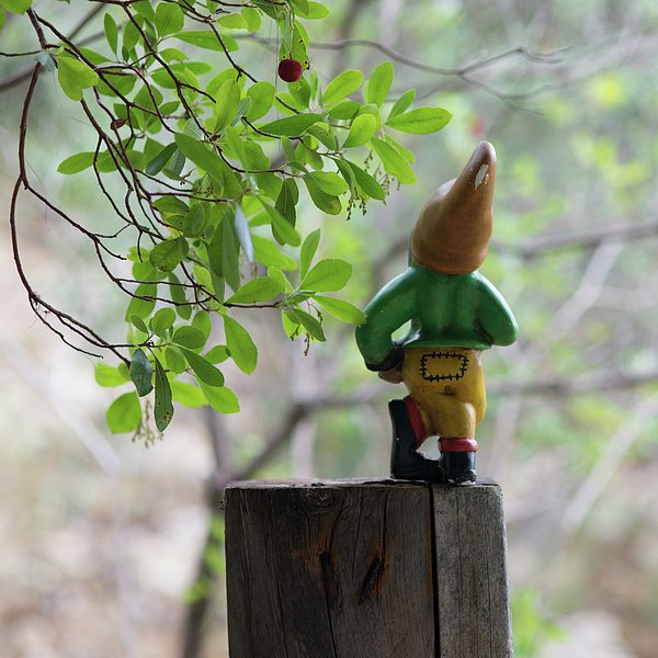 New artwork for sale! - "Garden Gnome" - fineartamerica.com/featured/1-gar… <a href="/fineartamerica/">Fine Art America</a>