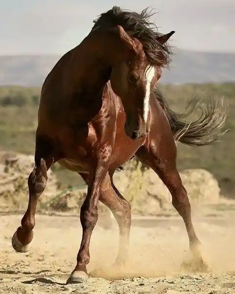 Kimberlynh24's tweet photo. @Stallion_Team @MarEthr @ZeyneddinD @lv4gab @cattina3 @ZagoZago3 @HOMEL3ND @us9 @dilruba_lees @Shu_la75 @PaulTwigg4 @BrettCateley @CharsWings @mike_hblmal03 @Marc_1TT @ganseyman @marethr63 @Sigueme_TeSigo_ @siiof1 @My2Kom @am102358 @DilrubaLees @SamyKilany @PORTWOLF4 @ndiejones @M_MartinezRed @AintitMarvelous @S__N__N903 @AliyahAliyah14 @BenedictoLozano @vivaciousStar2 @May_MGWV @Sahaday001 @shaka7171 @Prince__Rocks @Technology_s123 @Yagmur19825 @naseer00almohi1 @thad511 @naserhamed11 @abdalah20171 @TwitWhizz @SP3RKLE @Emerfalen ╗╦╔╗╔╗╔╗╗╦♡*💞
╠╣╔║║╝║╝╚║*♡💞
║║╚╝║═║═╚╝♡*#Hugs💞
║╦╗║╔╦╗╔╗╦╗╔╗╗╦💞
╠╣╚╝║║║║╝║║╔║╚║
║║══╝══║═╩╝╚╝╚╝💞💞 @Stallion_Team @MarEthr @botagain @ElieBautista @ZeyneddinD @PaulTwigg4
🙋Frankie! #Nice2Cu 😊😚 https://t.co/ivIQs6TJAb