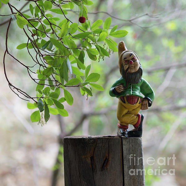 New artwork for sale! - "Garden Gnome" - fineartamerica.com/featured/garde… <a href="/fineartamerica/">Fine Art America</a>