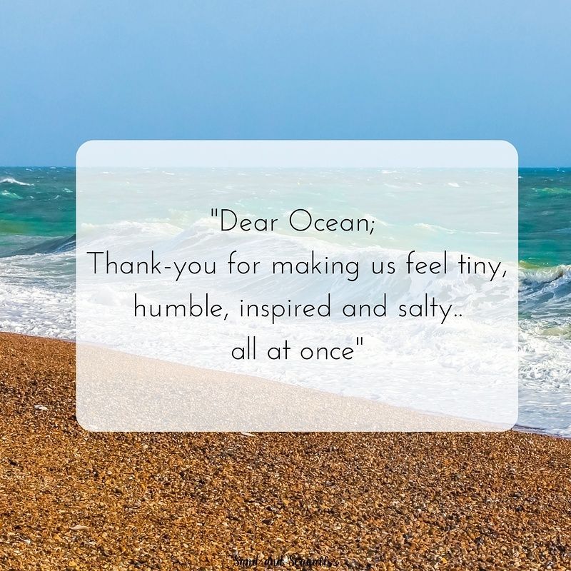 sandseagulls's tweet photo. This is so true right?! Love it ๐๐๐ #ocean #dearocean #quoteoftheday https://t.co/0tpiOyWXdr