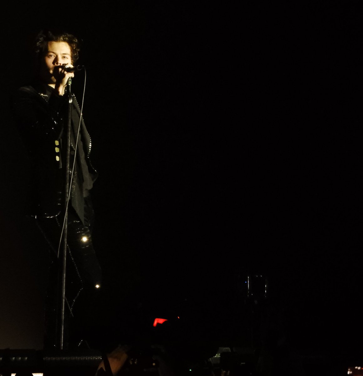 patrixia_mess's tweet photo. 🥝 

#HarryStylesLiveOnTourBasel https://t.co/wTivNLpuni