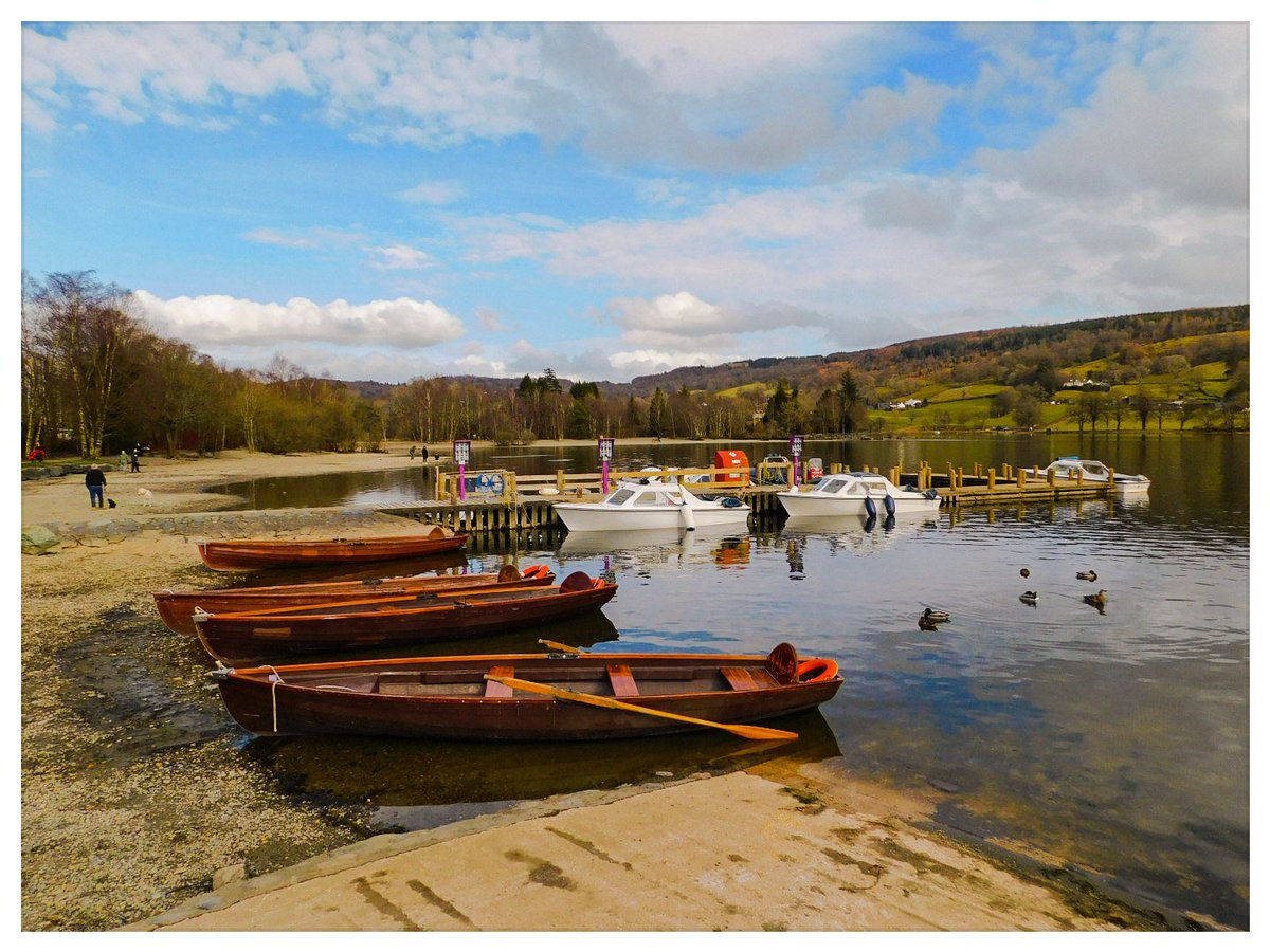 Daryn Davies tweet media