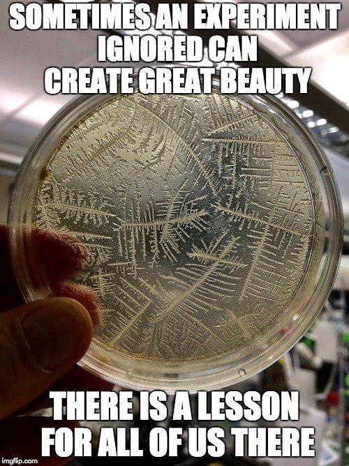 markowenmartin's tweet photo. A #MicrobeMeme based on things in my own lab. #MicrobialWisdom #SmallMastersRule #MicrobialCentrism @univpugetsound @ASMicrobiology https://t.co/pjNqdu9roB