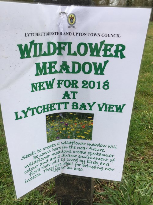 Lytchettbirder's tweet photo. Thank you Lytchett Minster & Upton Town Council can't wait to see the outcome this summer. #HelpingBees #HelpingInsects #HelpingWildlife https://t.co/xxufG5QBZa