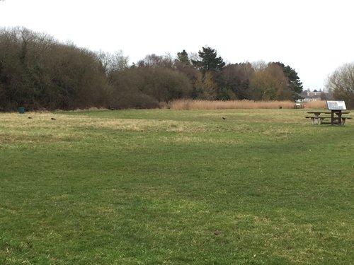 Lytchettbirder's tweet photo. Thank you Lytchett Minster & Upton Town Council can't wait to see the outcome this summer. #HelpingBees #HelpingInsects #HelpingWildlife https://t.co/xxufG5QBZa
