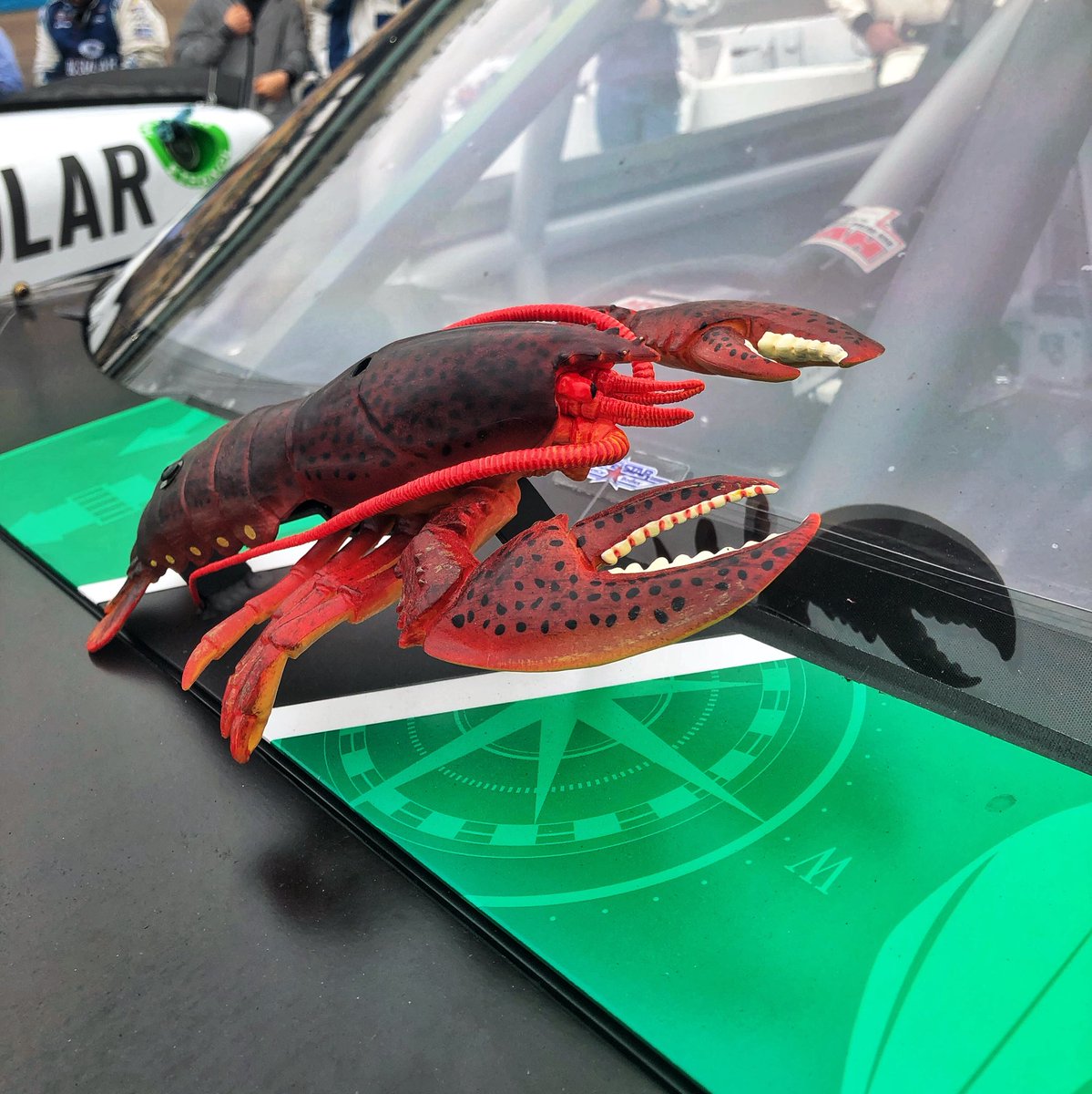 KauligRacing's tweet image. We have a pretty important question here. We’re almost five races in to the season and we don’t have a name for our new friend. 

Any suggestions?? 

Also, why is there no lobster emoji yet? 🤔 #realquestion