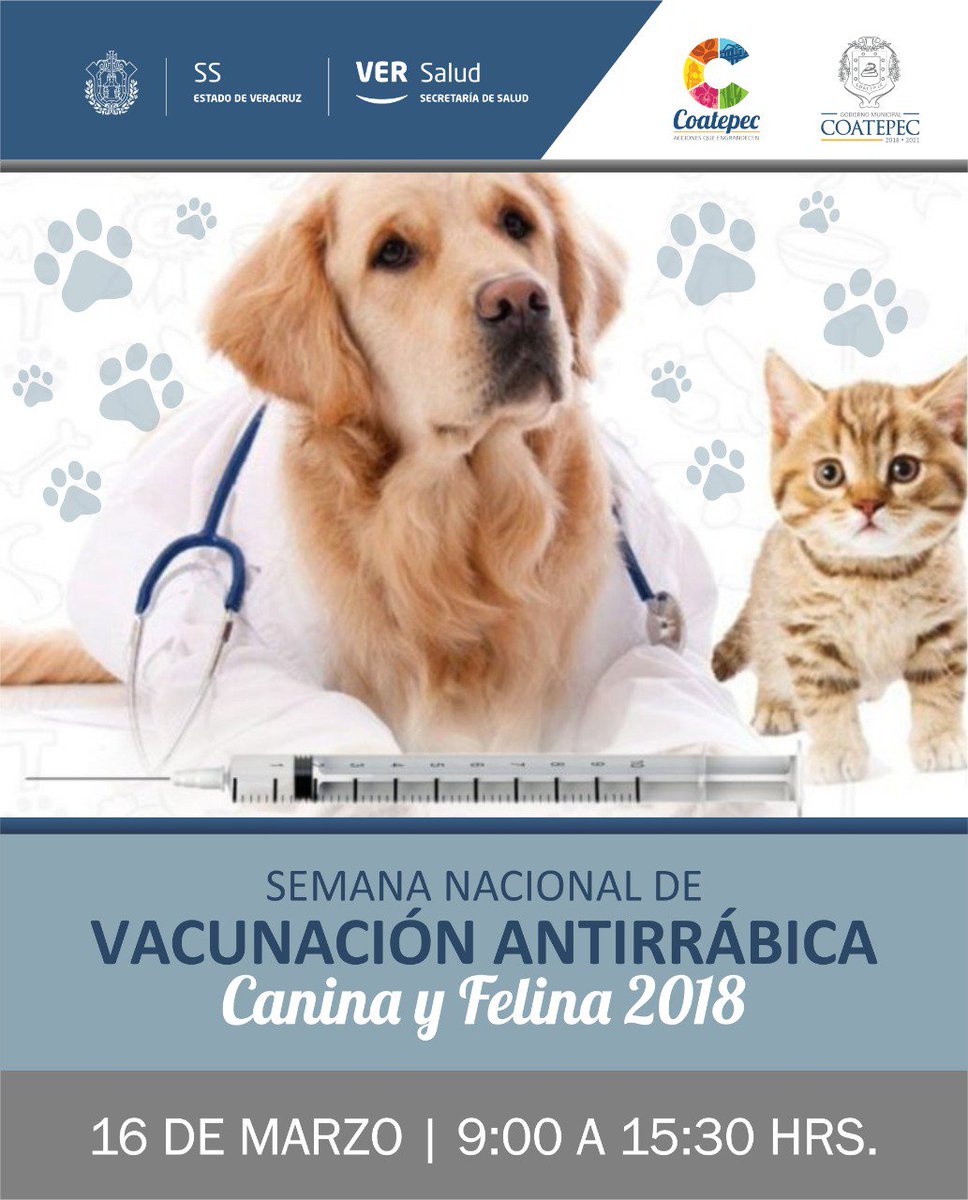 Gobierno Municipal de Coatepec tweet media