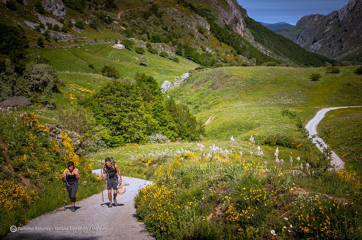 TurismoAsturias's tweet photo. ¿Tienes previsto escaparte a Somiedo? Aquí la propuesta de @aunclicaventurapara hacer senderismo en la zona  https://t.co/zvLz7JR0zq https://t.co/irCwO984U8