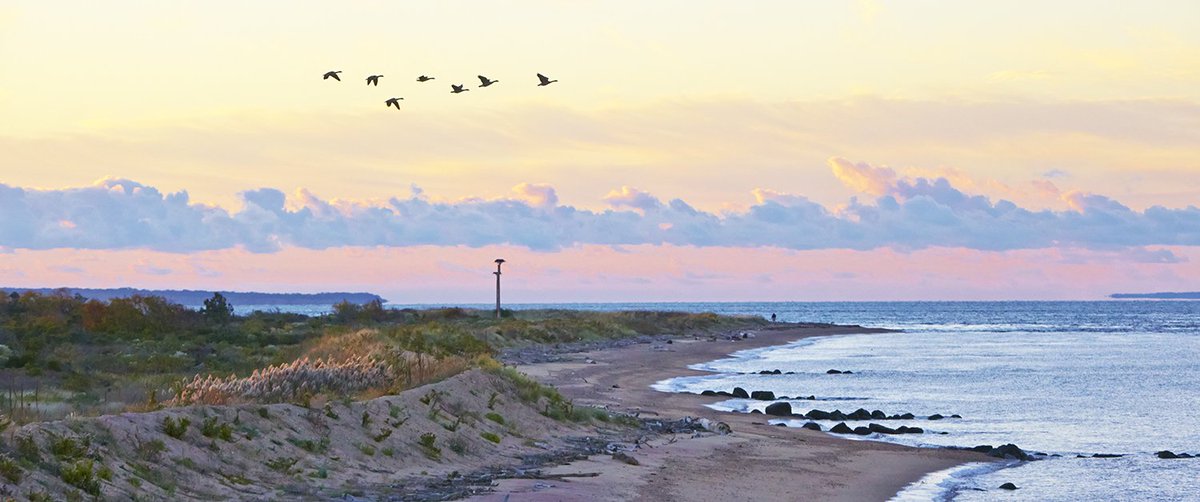 SavePlumIsland's tweet photo. Contact your representative and tell them to sign Rep. @RepLeeZeldin, @RepJoeCourtney, and @rosadelauro's request to repeal the statutory requirement to sell Plum Island. Deadline is Friday! Ask them to sign today and protect Plum Island forever. Letter: https://t.co/tKGBDWJr0o https://t.co/3CyJLfz7bq