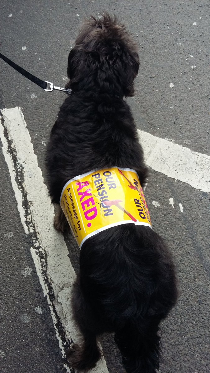 mina_sotiriou's tweet photo. #MarchForEducation2 we are in all this together #UCUstrike https://t.co/EBGHRdSrYQ