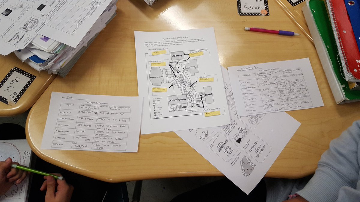 mnesputnam's tweet photo. We played the "Mall Match" game to practice the functions of organelles! #scienceisfun @mnesthebest https://t.co/We3v4QP3u7