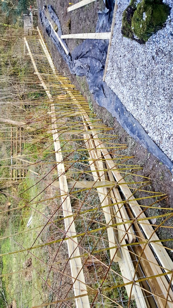 Bennyd111's tweet photo. Bit of fedging, never done it before (thought the other person knew what was going on, borderline tbh) 

Sorted it out.

For a first attempt turned out alright. Really enjoyed it.

#Garden #Gardening #Gardener #Plants #Fedge #Willow #Livingstructures https://t.co/6aea0s2FRd