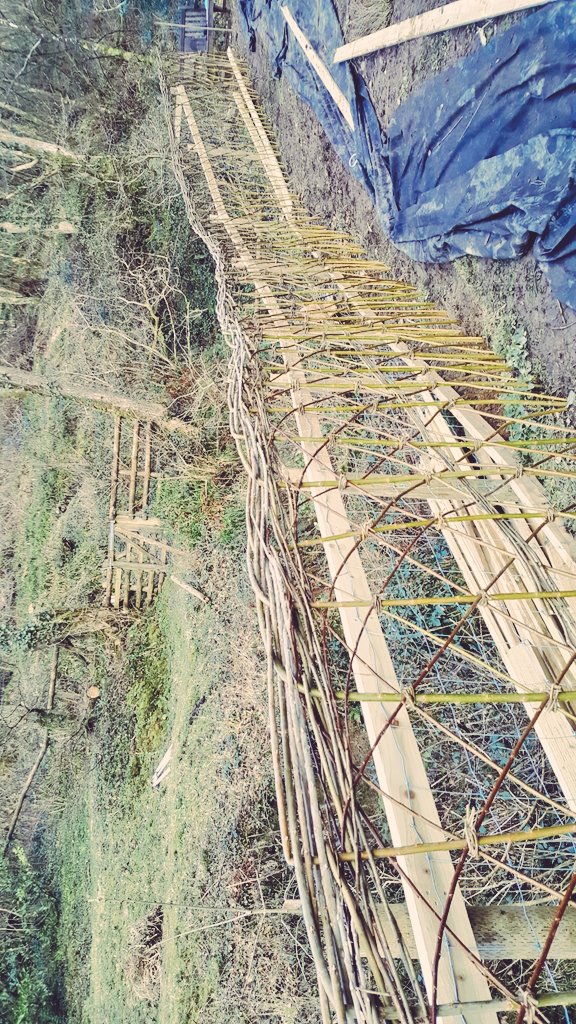 Bennyd111's tweet photo. Bit of fedging, never done it before (thought the other person knew what was going on, borderline tbh) 

Sorted it out.

For a first attempt turned out alright. Really enjoyed it.

#Garden #Gardening #Gardener #Plants #Fedge #Willow #Livingstructures https://t.co/6aea0s2FRd