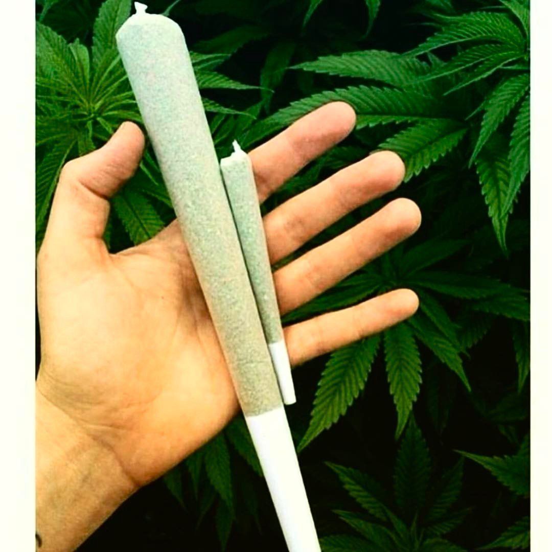 420's tweet photo. What up Eastern time zone fam? It's 4:20 so burn something https://t.co/b5UQg10TQX