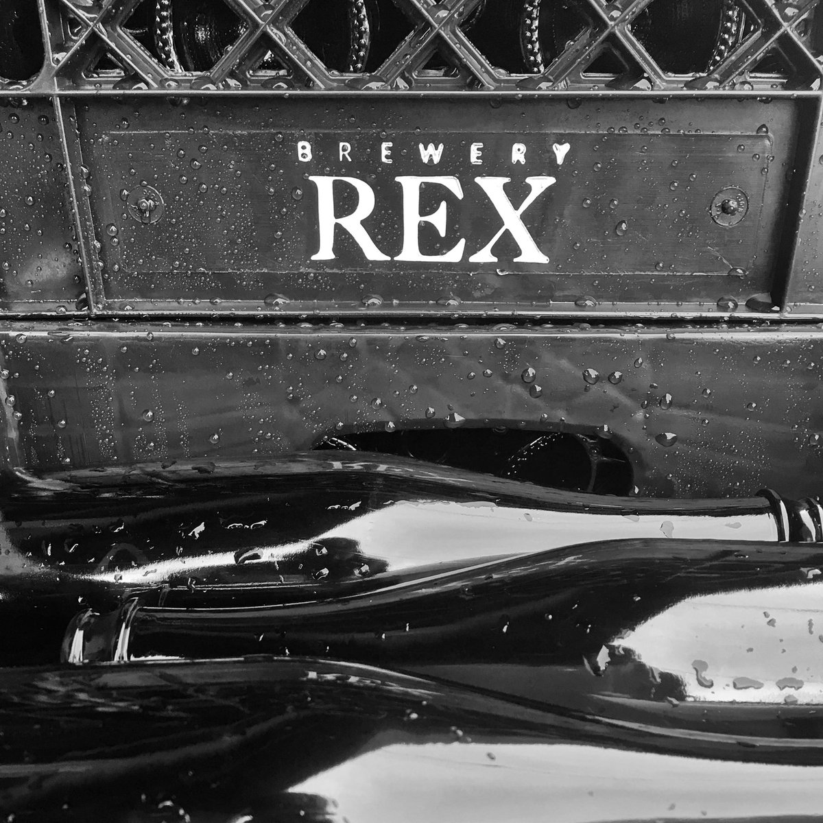 breweryrex's tweet photo. Head over to https://t.co/EvnuLH4KW7 to get your hands on bottles of Chocolate Raspberry Stout. Shipping IS included in the cost 🕺🏼 #breweryREX #REXlife #REXstyle #REXbeer #dreamREX  #CAbeer #beerporn #craftbeer #coffee #drinkindependent #beer #drinklocal #drinkcraft https://t.co/K1NNY7GiMJ