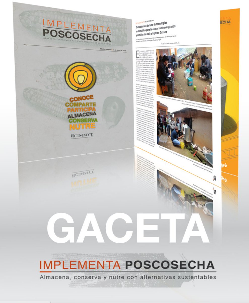 ACCIMMYT's tweet photo. #ParaLeer
Edición completa de la gaceta #ImplementaPoscosecha 
https://t.co/tzaE47tn3a https://t.co/6kQJLBlDgA