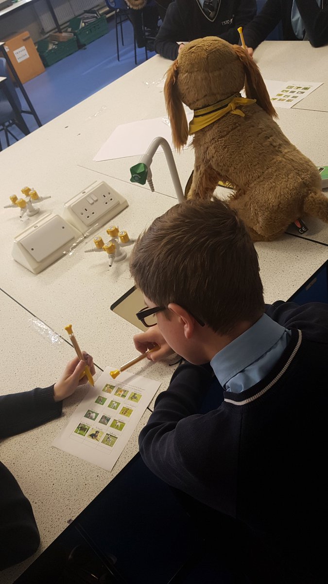 SholingScience's tweet photo. The Dog's trust has come to visit, teaching year 8 about evolution and selective breeding. @SholingScience #dogstrust #BSW18 #TSTC #TSTCchallenge #science https://t.co/AqK0heDPVm