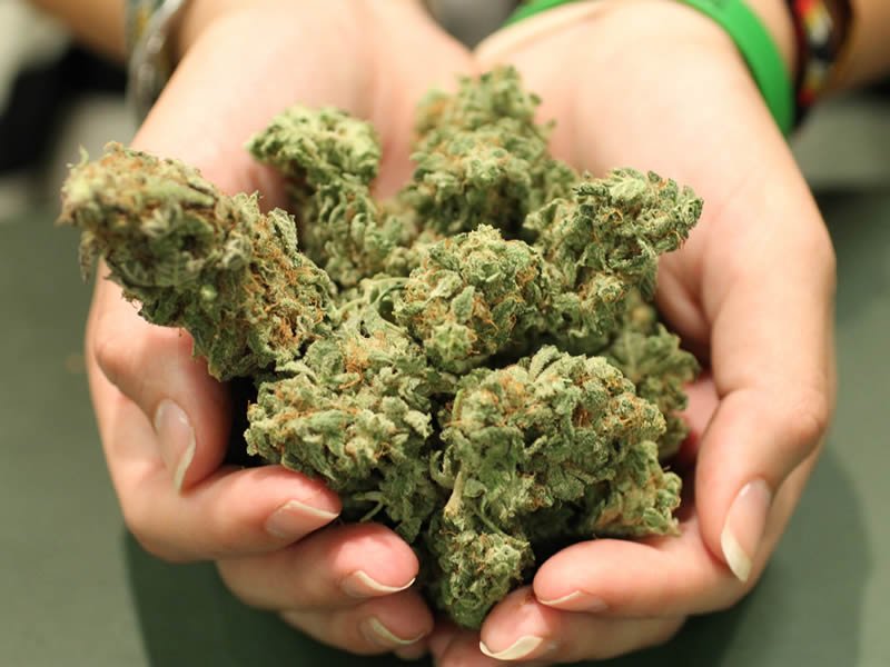 Saskatchewan Government Roles Out Its Marijuana Regulations dlvr.it/QL2YRh https://t.co/SNErkEcLKL