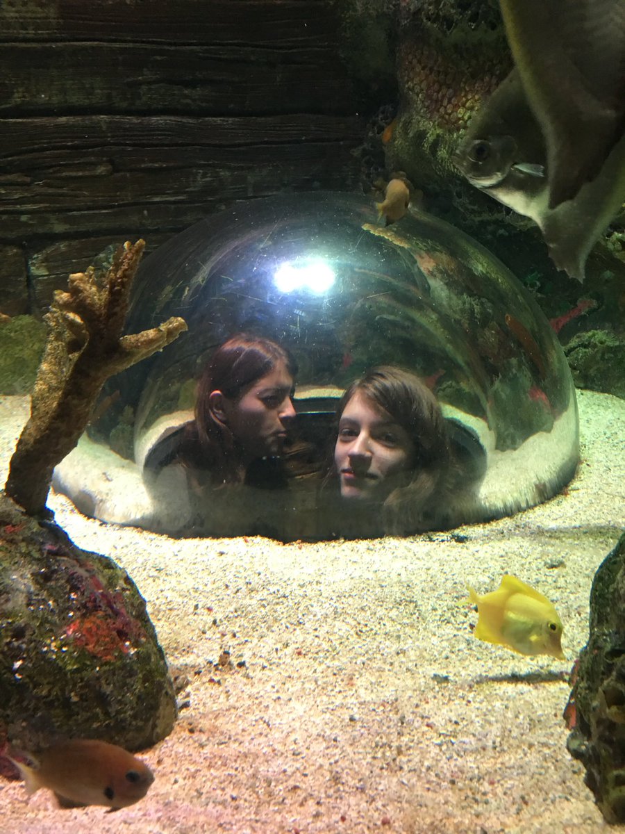 SavHighNHS's tweet photo. NHS field trip to Sea Life &amp; Crown Center https://t.co/LVMmvgO4Pa
