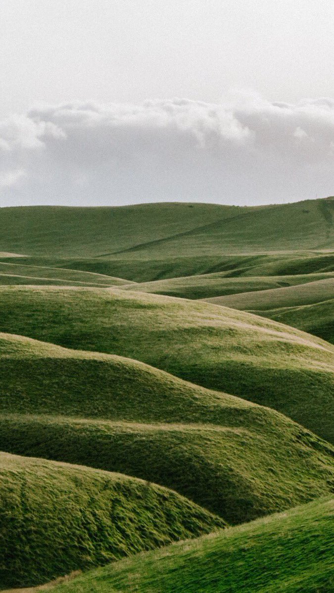 "وماذا يفعل الله بِعتمتك؟
ينيرها وكأنَّ شيئاً لم يحدُث"🌿.